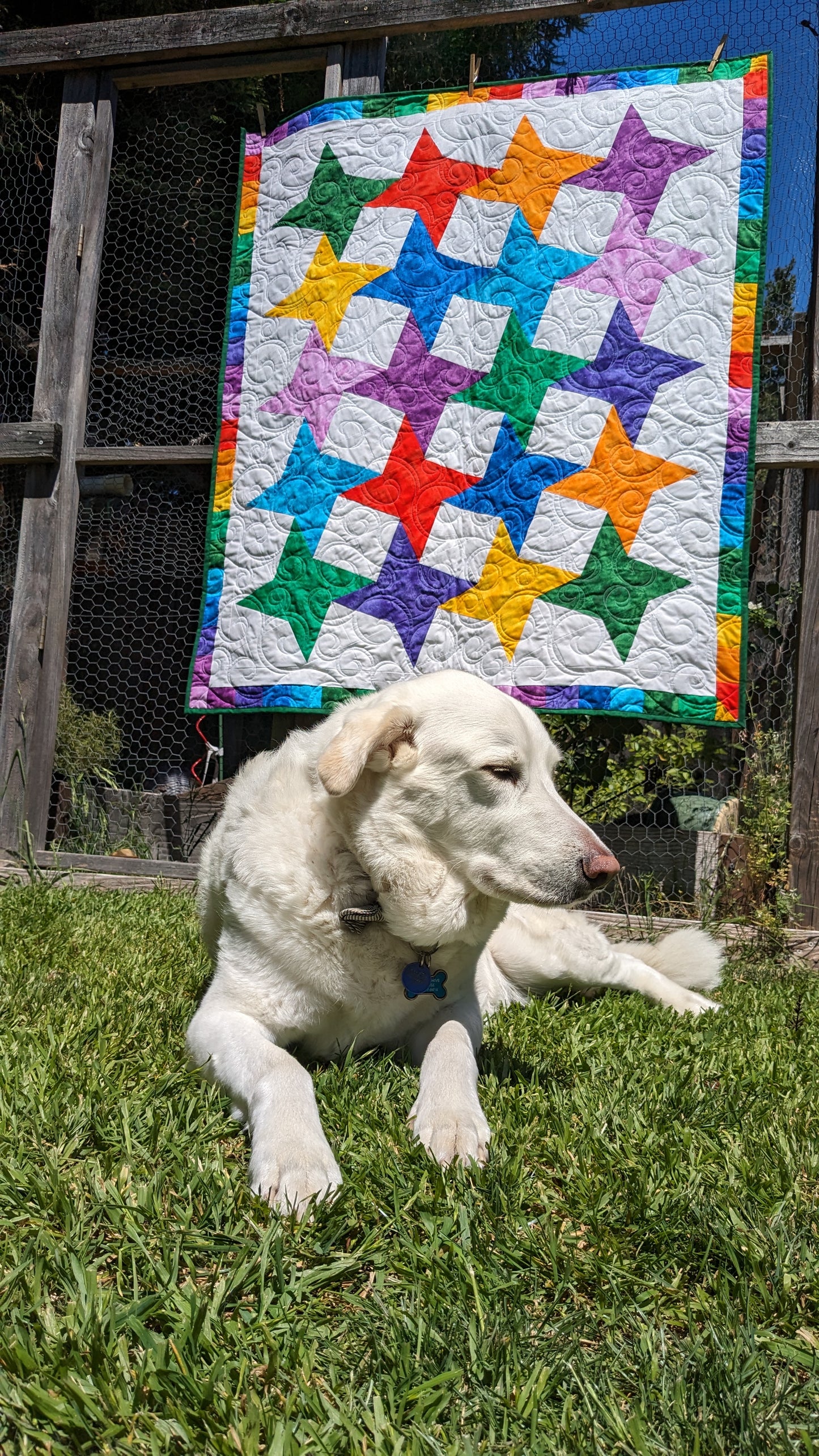 Rainbow Throw Quilt